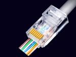 UTP CAT5E 8P8C Modular plugs for front Cable