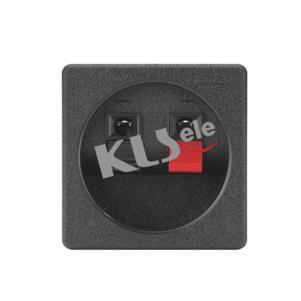 Spring Terminals Speaker